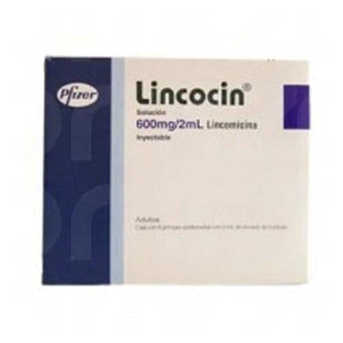 Lincocin Jeringa 600Mg/2Ml Con 6 (Lincomicina)