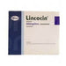 Lincocin Jeringa 600Mg/2Ml Con 6 (Lincomicina) - WeCare Pharma