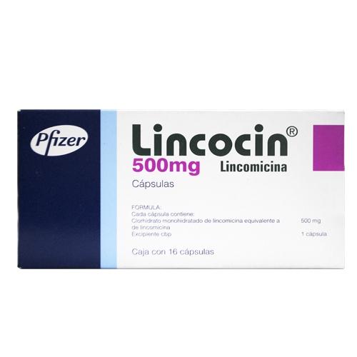 Lincocin 500Mg Con 16 Capsulas (Lincomicina)