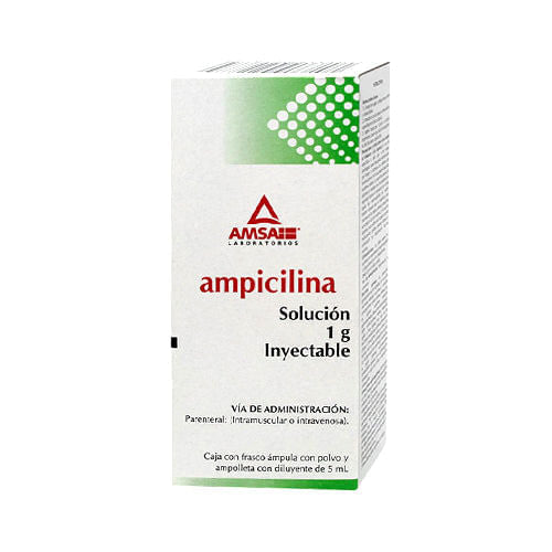 Ampicilina 1G 5Ml Amsa Ampulas