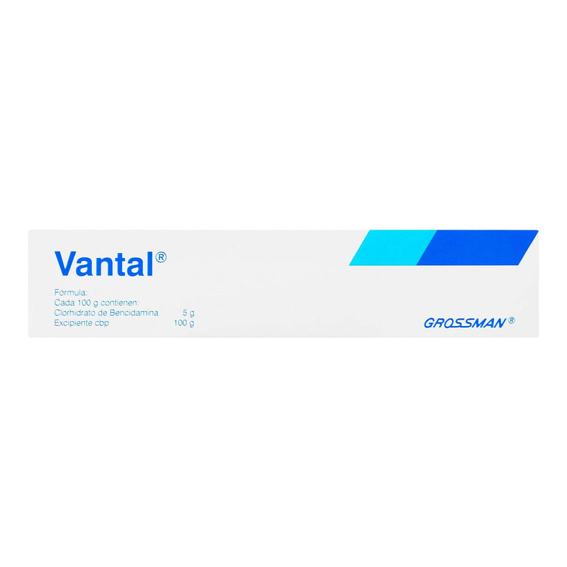 Vantal Gel Cutaneo 5% 60G (Bencidamina) - WeCare Pharma