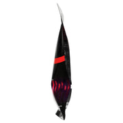 Anillo Vibrador Sico Ring - WeCare Pharma