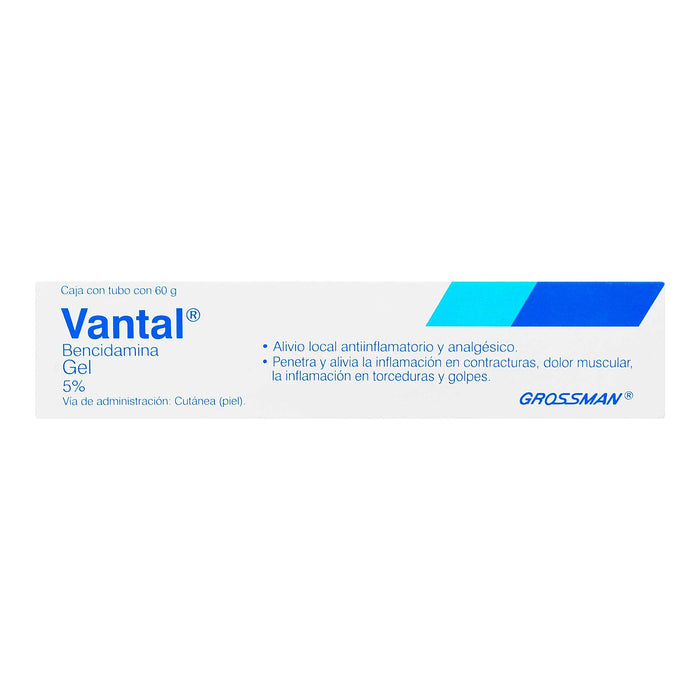 Vantal Gel Cutaneo 5% 60G (Bencidamina) - WeCare Pharma