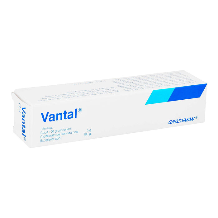 Vantal Gel Cutaneo 5% 60G (Bencidamina) - WeCare Pharma