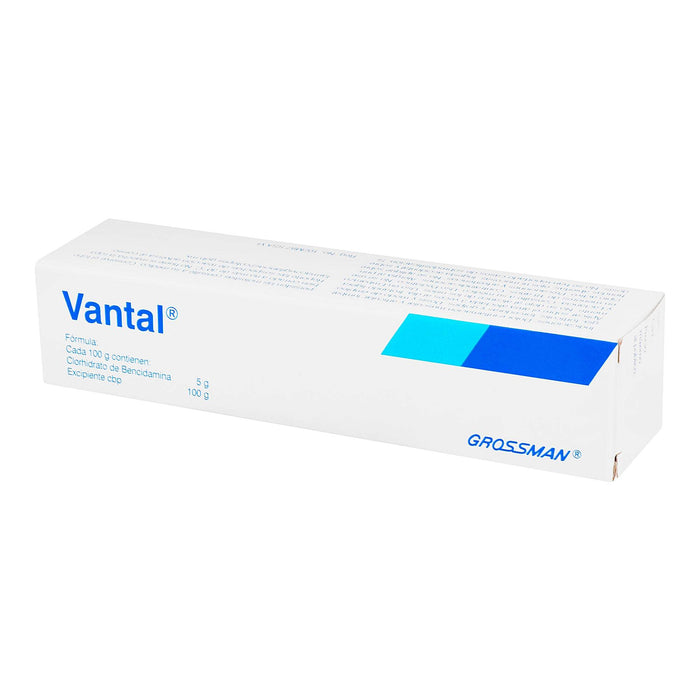 Vantal Gel Cutaneo 5% 60G (Bencidamina) - WeCare Pharma